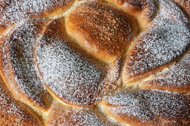 Süzme peynirli ve elma dolgulu lezzetli kek, yumuşak bir yüzeye sahip, pudra şekeri serpiştirilmiş, üst manzara