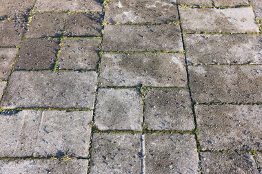Çimento döşeme kiremitleri, açık havada yosun oluşumunun işaretlerini sergiler. Bu, doğal yaşlanma sürecini ve çevresel elementlerin zaman içindeki etkilerini gösterir..
