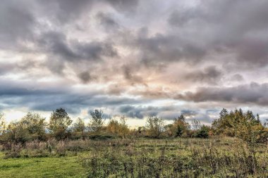 Manzara akşam erken saatlerde bulutlu bir gökyüzünü gösteriyor. Ağaçlar otlakların kenarlarını süslüyor, sakin bir doğal atmosfer yaratıyor..