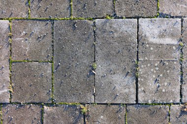 Çimento döşeme kiremitleri şebeke deseninde serpilmiş, dayanıklı dokularını ve doğal aşınmalarını gösteriyor. Kiremitler arasında çimenler filizlenir, bu da doğanın uyumu ve zamanı gösterir..