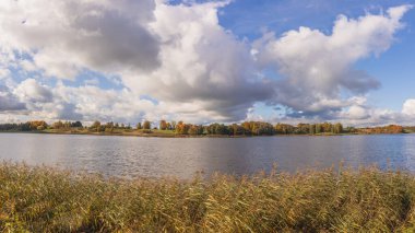Autumn colors highlight the trees beside a tranquil lake. Tall grasses frame the water while fluffy clouds drift across the blue sky, creating a picturesque natural setting.