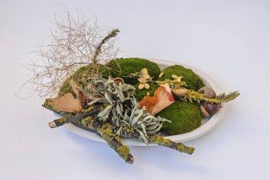 Yeşil yosun, kurumuş dallar ve çiçekleri dairesel bir kasede sergileyen sanatsal bir gösteri. Doğal dokular ve toprak renkler sergiliyor.