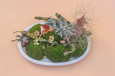 Kurumuş bitkiler, tohumlar ve küçük doğal aksanlarla süslenmiş yuvarlak yosun yığınları, açık arkaplana sanatsal olarak dizilmiş..