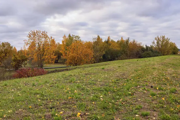 Altın ve turuncu yapraklar yemyeşil bir parktaki ağaçları süslüyor. Gökyüzü yumuşak, gri bulutlarla dolu, sakin bir sonbahar atmosferi yaratıyor..