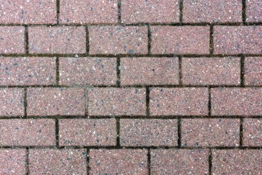 Yakın plan bir yürüyüş yolu oluşturan dikdörtgen tuğla deseni ortaya çıkarır. Eklemlerde yosun görünüyor, bu da doğal büyüme anlamına geliyor. Yumuşak ışıklandırma tuğlaların dokusunu geliştirir..