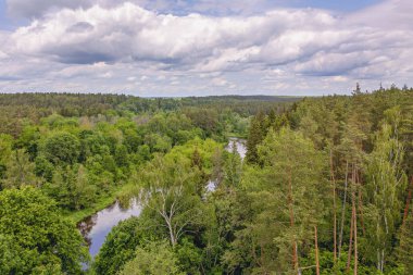 Yumuşak kıvrımlı bir nehri çevreleyen parlak yeşil bir ormanın güzel manzarası. Bulutlu bir gökyüzü manzarası, yazın ortasında doğanın huzurunu ortaya çıkarıyor..