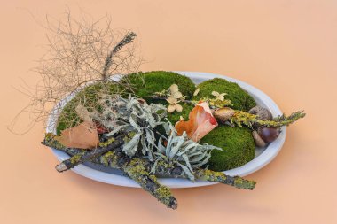 Turuncu bir zemin üzerinde yeşil yosun, dal ve kurumuş çiçeklerin bileşimi, sonbaharın doğal güzelliğini ve dokusunu yansıtır, rahat, organik bir atmosfer yaratır..