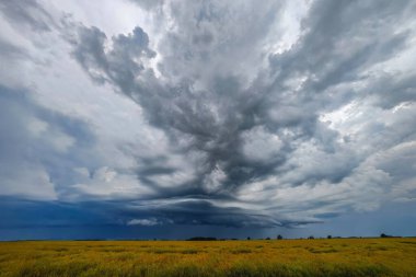 Gökyüzünü muazzam bir altın çayırın üzerinde dramatik bulutlar kaplıyor yaklaşan fırtınanın habercisi. Huzurlu manzara atmosferdeki artan gerilimle çelişiyor..