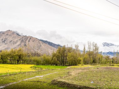 Nefes kesen manzara ve Kaşmir dağlarının görüntüsü. 