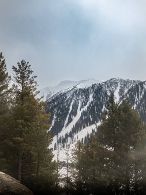 Kashmir 'de karla kaplı ağaçlar ve dağlarla kaplı güzel kış manzarası.