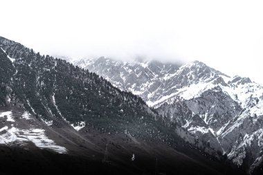 Kashmir 'de karla kaplı ağaçlar ve dağlarla kaplı güzel kış manzarası.