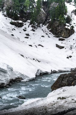 Kashmir 'de karla kaplı ağaçlar ve dağlarla kaplı güzel kış manzarası.