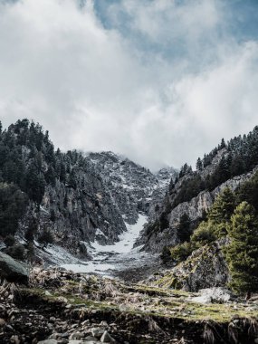 Kashmir 'de karla kaplı ağaçlar ve dağlarla kaplı güzel kış manzarası.