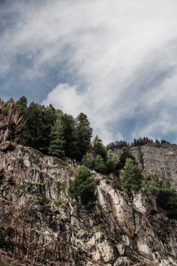 Kashmir 'de karla kaplı ağaçlar ve dağlarla kaplı güzel kış manzarası.