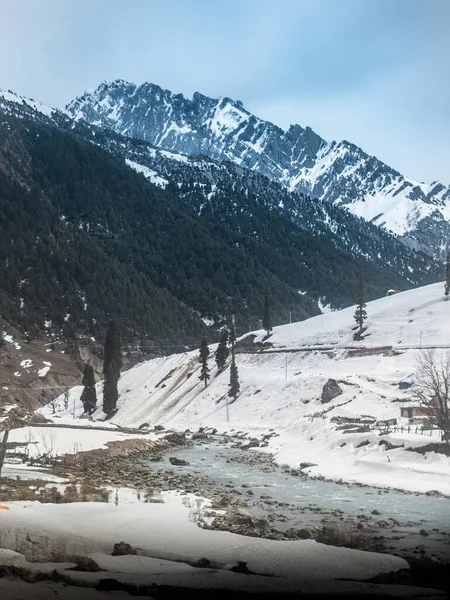Beau Paysage Hivernal Avec Des Arbres Enneigés Des Montagnes Cachemire — Photo