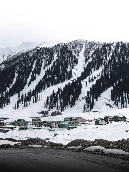 Kashmir Karla Kaplı Ağaçlar Dağlarla Kaplı Güzel Kış Manzarası Telifsiz Stok Fotoğraflar