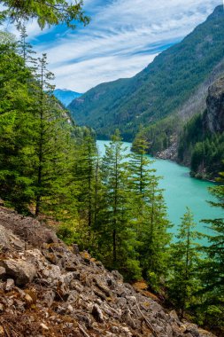 Renkli ve resimli Gorge Creek Şelaleleri Skagit Nehri WA yolu boyunca ilerliyor.