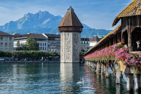 Renkli çiçekler su kulesine giden Şapel Köprüsü 'nü süslüyor.