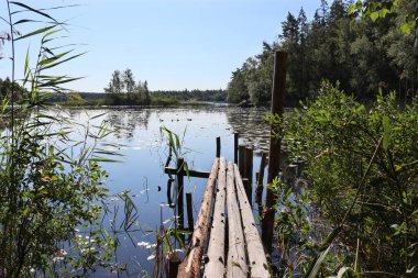 İsveç Urshult yakınlarındaki güzel Aras Gölü 'nün güneşli yaz manzarası. Smaland ilindeki tipik İsveç gölü, kırsal ahşap iskeleli ve ormanlarla çevrili. Boşluğu solun üzerine kopyala. 