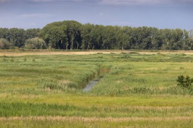 Doğu Flanders, Belçika 'daki Vlassenbroek Doğa Koruma Alanı' nın yaz manzarası. Yeni Scheldt Vadisi Milli Parkı 'nın bir parçası olan Dendermonde ve Baasrode yakınlarında yer almaktadır..