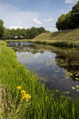 Summer view of historic Fort Bourtange in Groningen in the Netherlands and it's surronding landscape. Lily pads float on the moats surface, fortified walls are visible on the right. Copy space. clipart