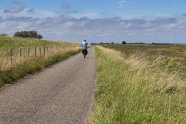Hollanda 'nın Zeeuws Vlaanderen kentindeki Paal yakınlarındaki Batı Scheldt nehri boyunca uzanan bisiklet yolu. Mavi gökyüzü ve telif uzayı ile güneşli bir gün.