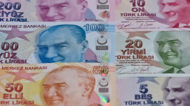 Çeşitli ülkelerin banknotlarının görüntüleri. Türk Lirası fotoğrafları.
