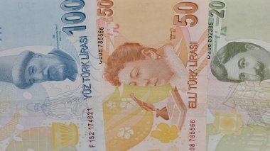 Çeşitli ülkelerin banknotlarının görüntüleri. Türk Lirası fotoğrafları.