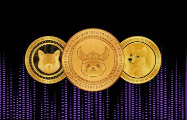 Shiba inu, dogecoin ve floki inu para sanal para biriminin dijital arkaplanda bir görüntüsü. 3d illüstrasyon.