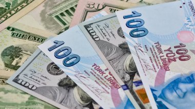Çeşitli ülkelerin banknotlarının görüntüleri. Amerikan Doları ve Türk Lirası fotoğrafları.