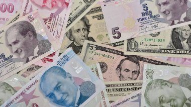 Çeşitli ülkelerin banknotlarının görüntüleri. Amerikan Doları ve Türk Lirası fotoğrafları.