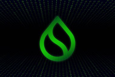 Dijital arkaplanda sui şifreleme resimleri. 3d illüstrasyon.