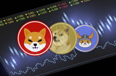 Shiba inu, dogecoin ve floki inu para sanal para biriminin dijital arkaplanda bir görüntüsü. 3d illüstrasyon.