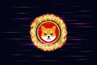 shiba virtual currency visuals on a colorful background. 3d illustrations. clipart