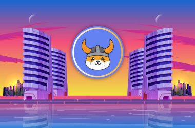 Gün batımında şehrin arka planında floki kripto para birimi görüntüsü. 3d illüstrasyon.