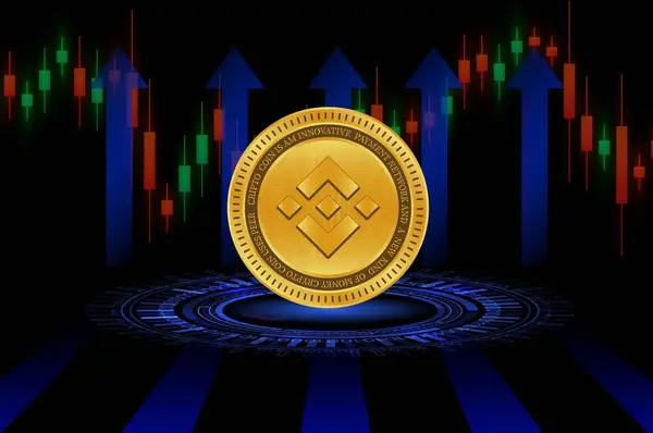 stock image binance-bnb virtual currency image in the digital background. 3d illustrations.