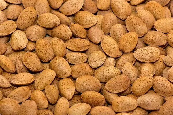 stock image natural fruit images. photos of shelled almonds.