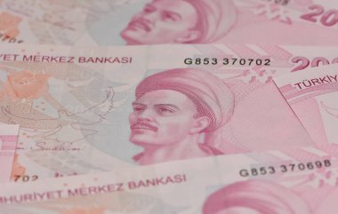 Çeşitli ülkelerin banknotlarının görüntüleri. Türk Lirası fotoğrafları.