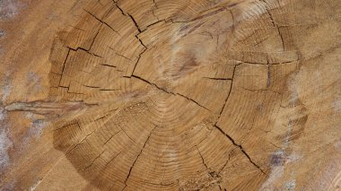 Arkaplan için tahta yüzey fotoğrafları.