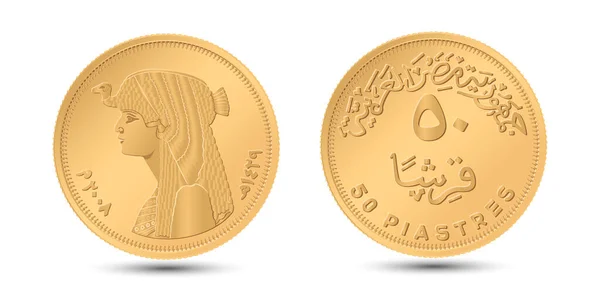 Піастрів Зворотний Лицьовий Бік Єгипетської Монети Ятдесяти Піастр Векторному Ілюстрації — стоковий вектор