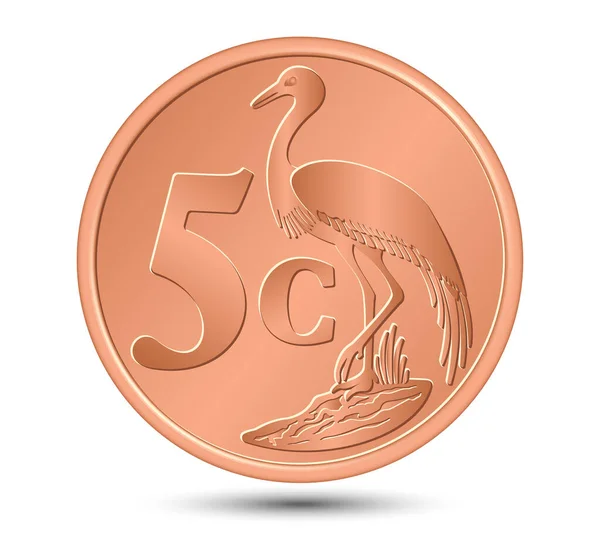 Südafrikanische Bronze Fünf Cent Münze Isoliert Auf Weißem Hintergrund Vektorillustration — Stockvektor