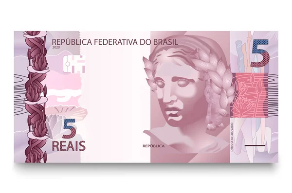 Beş Brezilya Parasının Banknotu Brezilya Gerçeğidir Vektör Illüstrasyonu — Stok Vektör