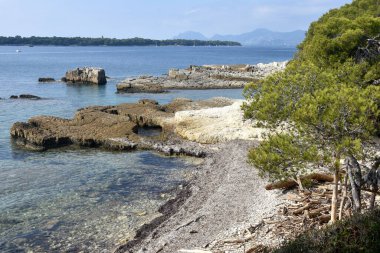 Fransa, çit rivierası, Sainte Margurite adası, Saint Honorat adasının önündeki güzel koy. Bu ada, demir maskeli ve deniz müzesi olan ünlü adamın hapishanesini barındırıyor..