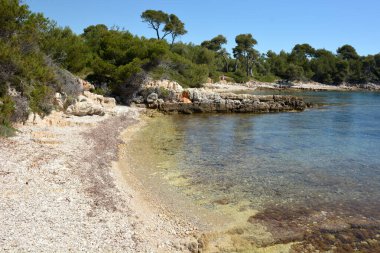 Fransa, Fransız Rivierası, Sainte Marguerite Adası, bu adada demir maskeli ve deniz müzesi olan ünlü bir adamın hapishanesine ev sahipliği yapan güzel bir koy..