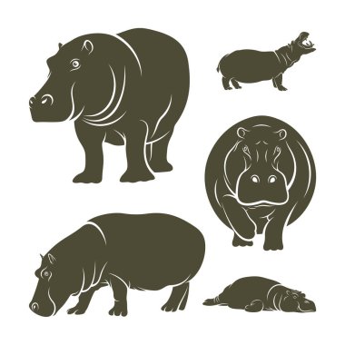 Hippopotamus vektör çizimi seti. Hippopotamus logo tasarımı Şablonu.