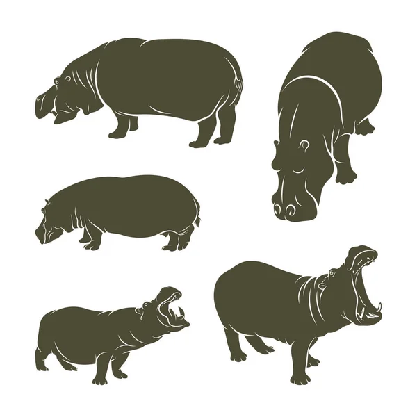 Conjunto Design Ilustração Vetorial Hippopotamus Modelo Design Logotipo Hippopotamus — Vetor de Stock