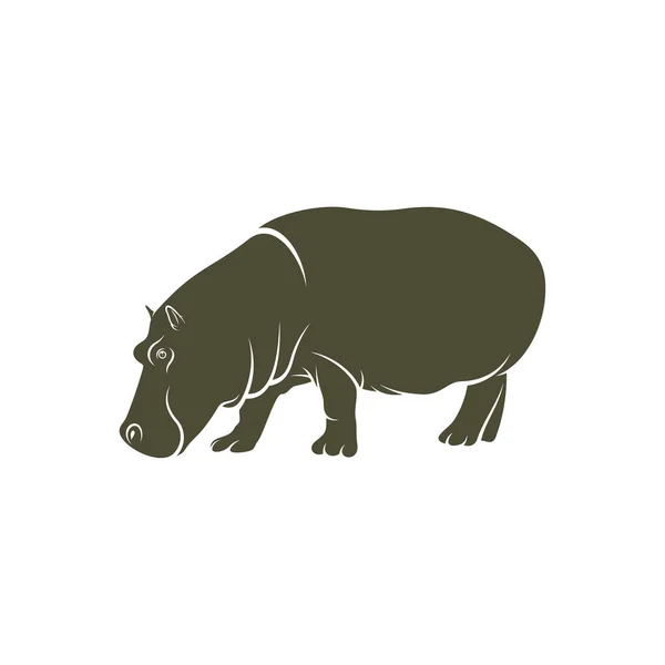 Hippopotamus Vector Illustration Design Hippopotamus Logo Design Template — Stock Vector