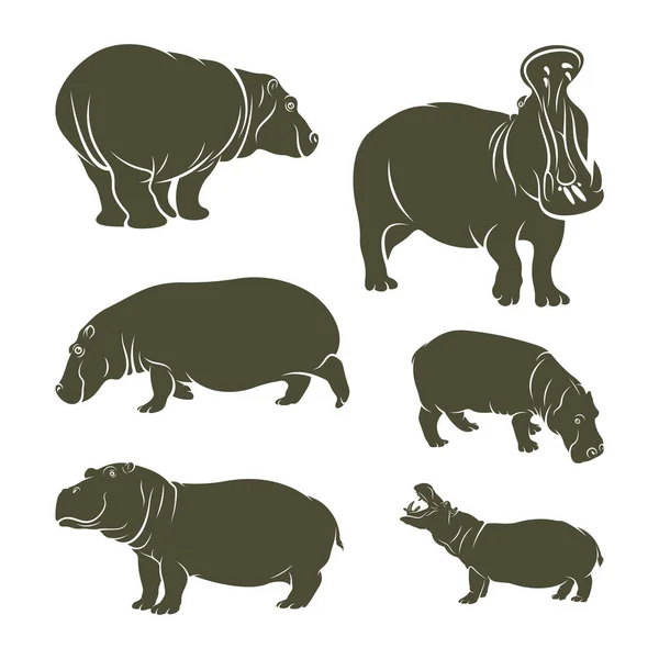 Ensemble Illustration Vectorielle Hippopotamus Modèle Conception Logo Hippopotame — Image vectorielle