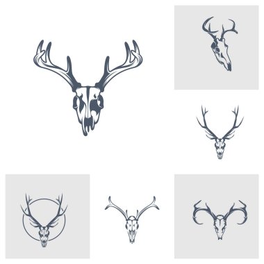 Baş Geyik kemik vektör çizim dizaynı. Baş Geyik logo tasarımı Şablonu.