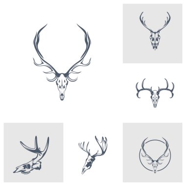 Baş Geyik kemik vektör çizim dizaynı. Baş Geyik logo tasarımı Şablonu.